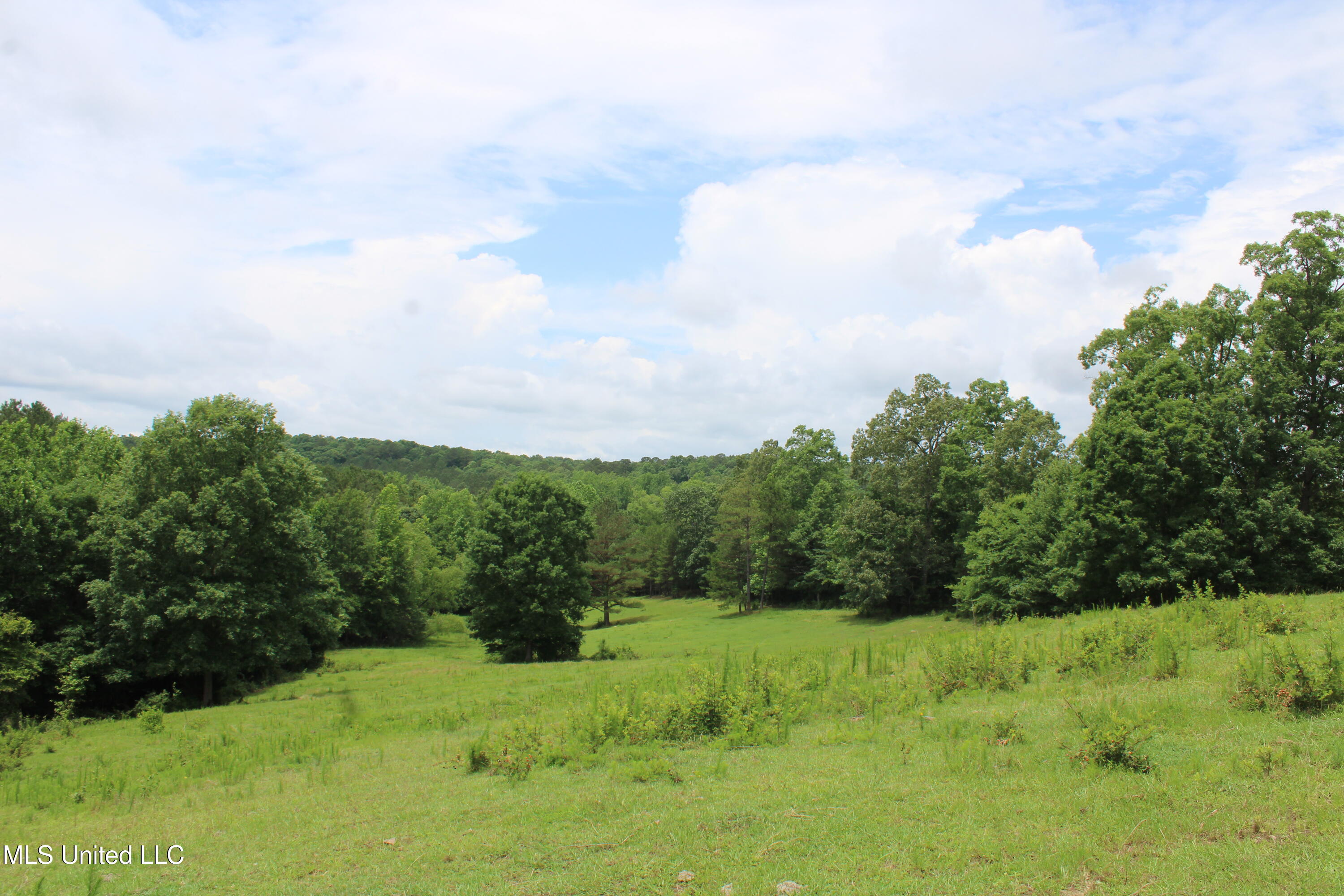 0 Tanner Drive Blue Mountain, MS 38610 - Photo 26 of 34 IMG_6223