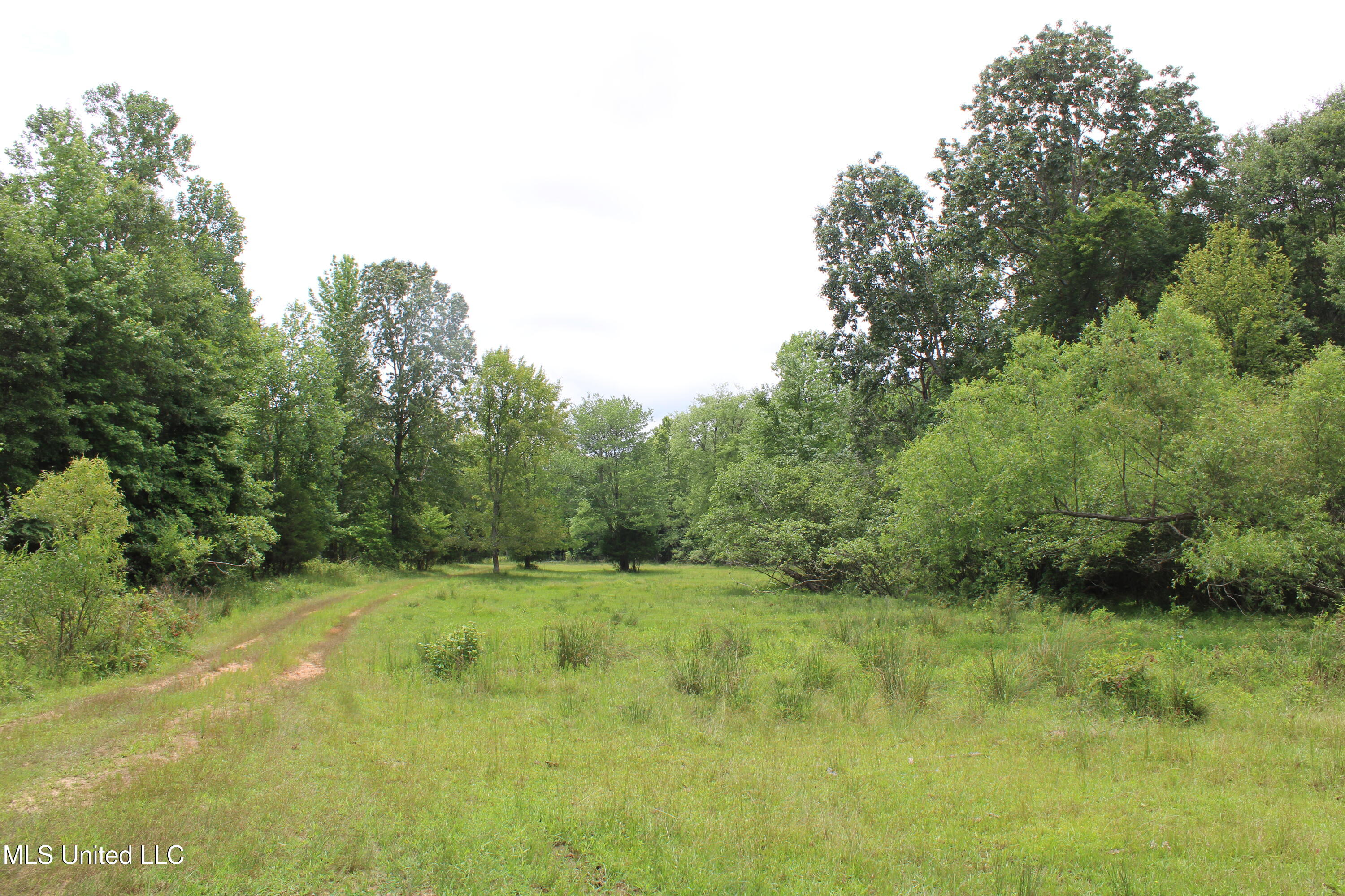 0 Tanner Drive Blue Mountain, MS 38610 - Photo 27 of 34 IMG_6224