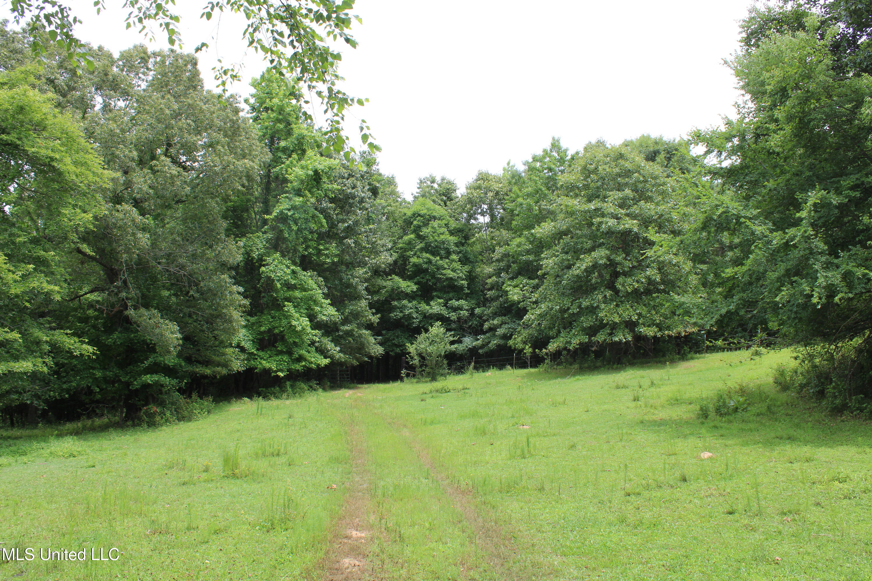 0 Tanner Drive Blue Mountain, MS 38610 - Photo 29 of 34 IMG_6226