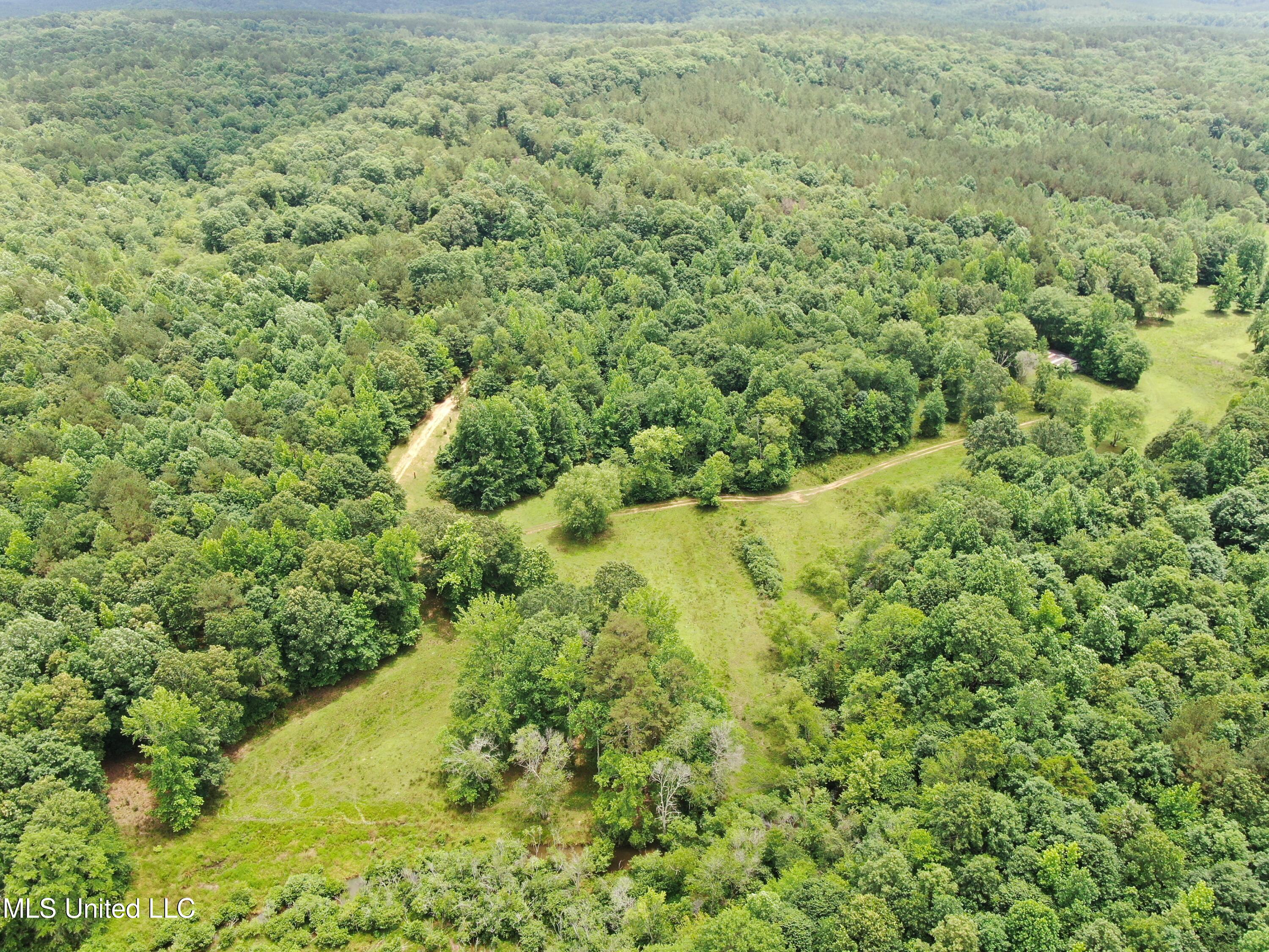 0 Tanner Drive Blue Mountain, MS 38610 - Photo 3 of 34 DJI_0597