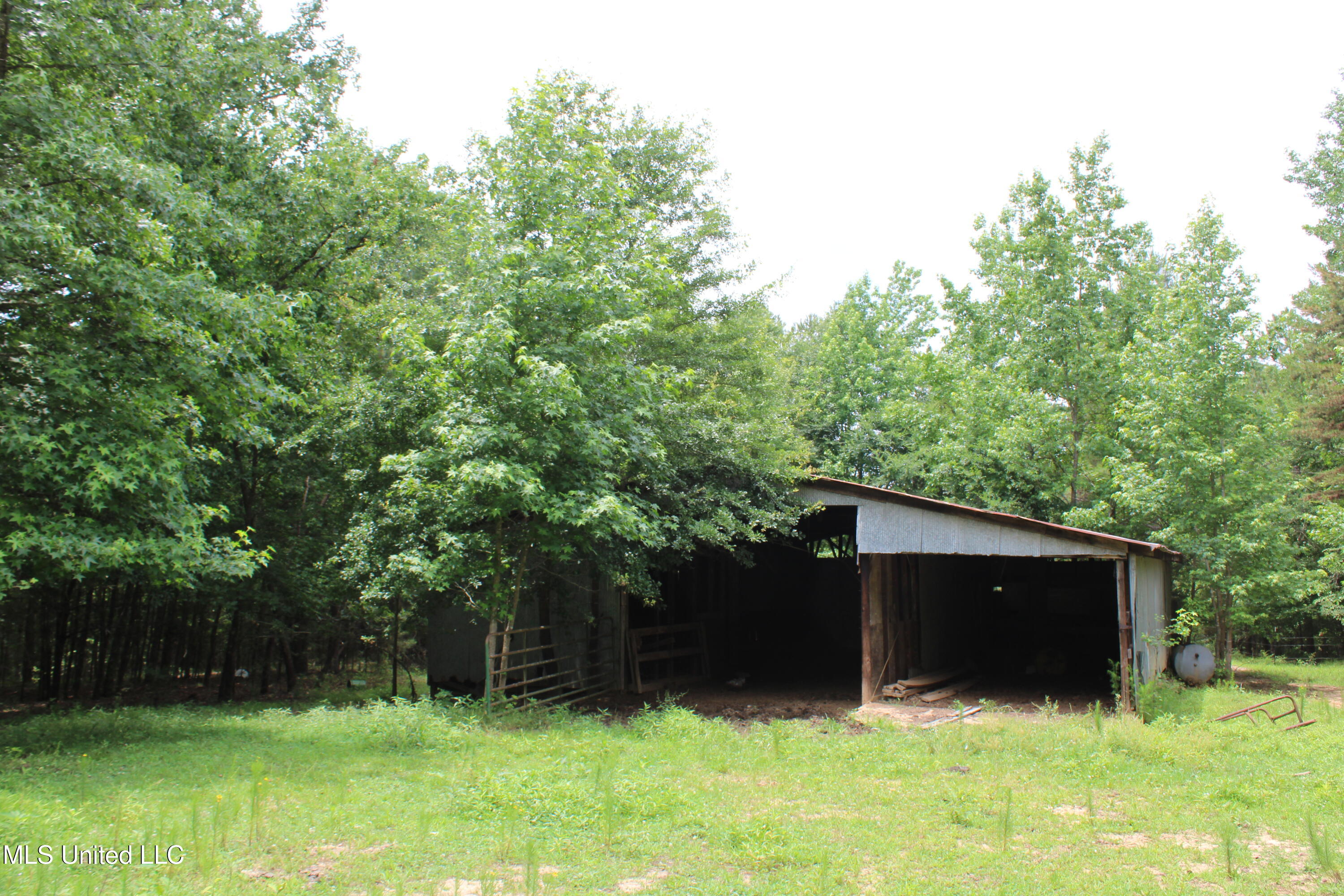 0 Tanner Drive Blue Mountain, MS 38610 - Photo 33 of 34 IMG_6230