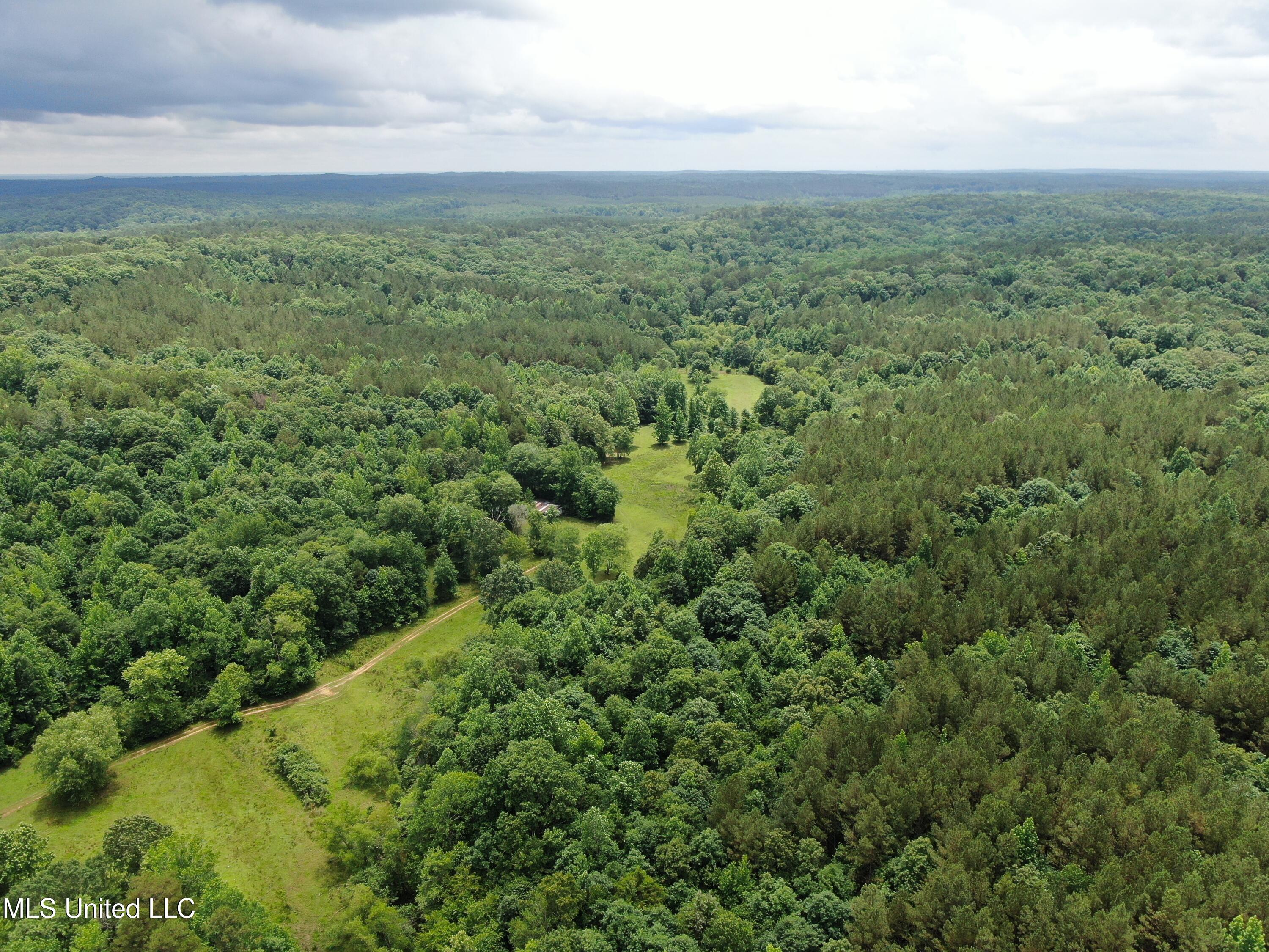 0 Tanner Drive Blue Mountain, MS 38610 - Photo 4 of 34 DJI_0598