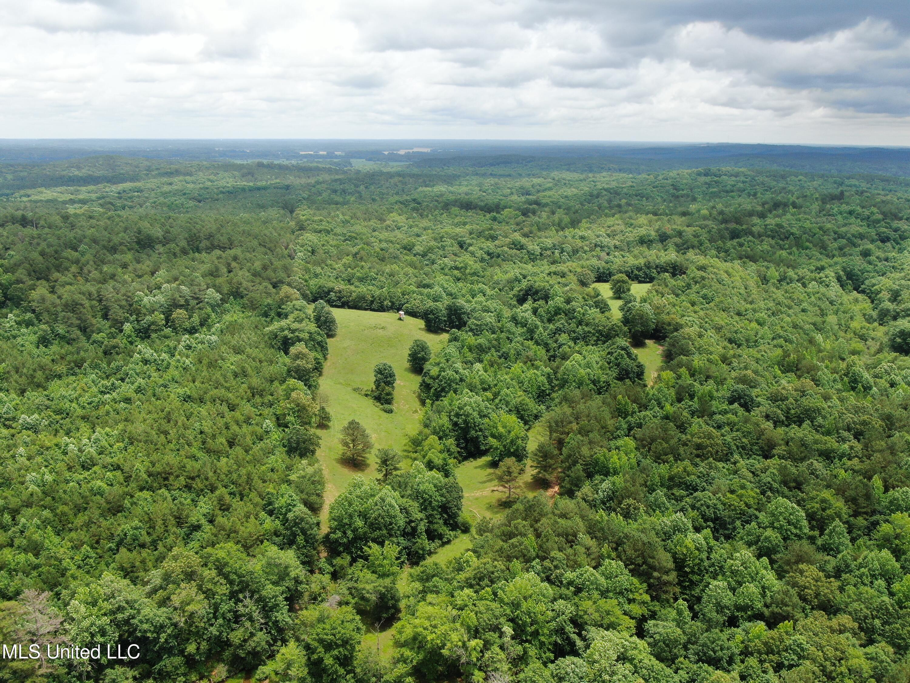 0 Tanner Drive Blue Mountain, MS 38610 - Photo 5 of 34 DJI_0599