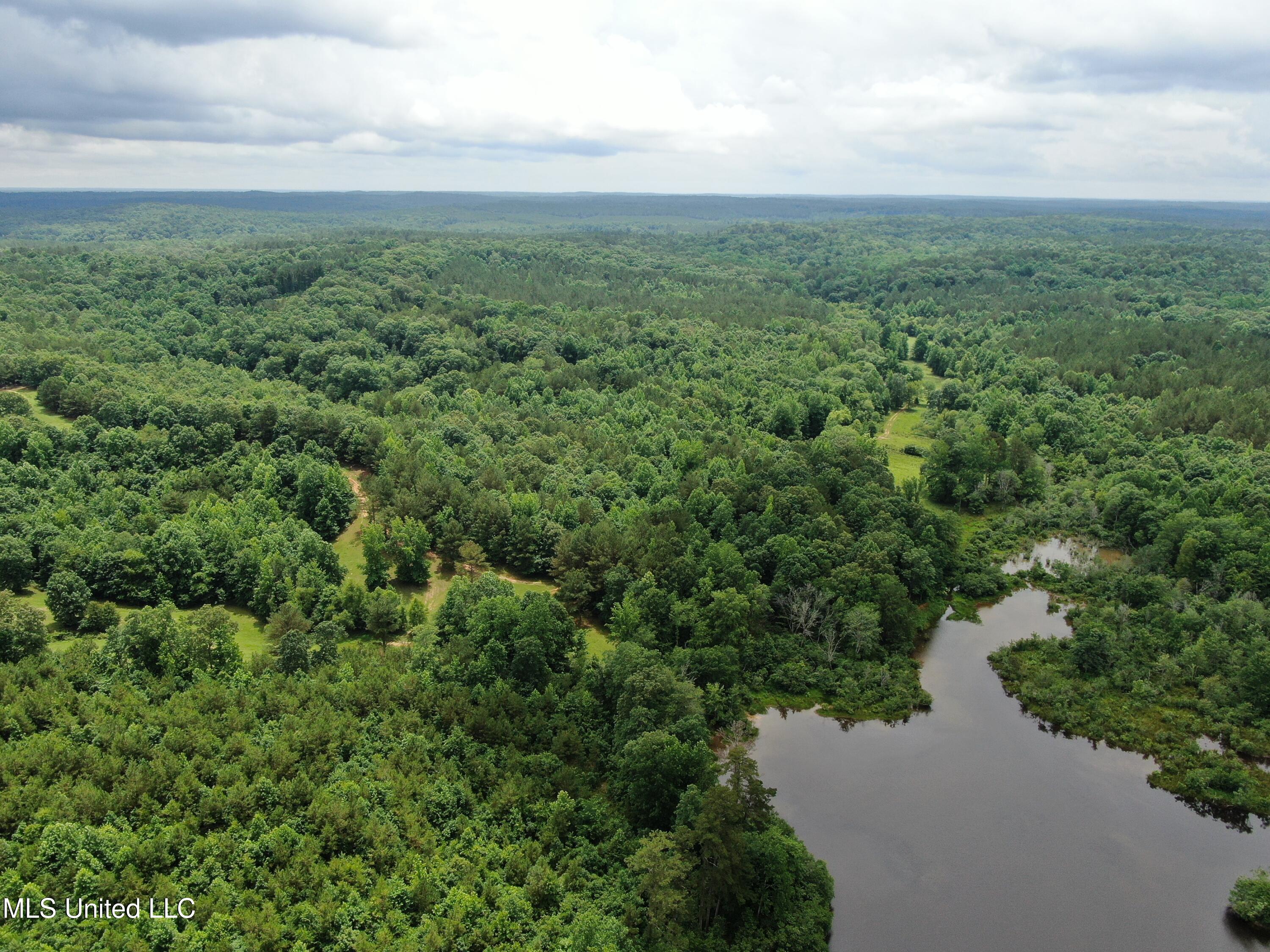 0 Tanner Drive Blue Mountain, MS 38610 - Photo 7 of 34 DJI_0602