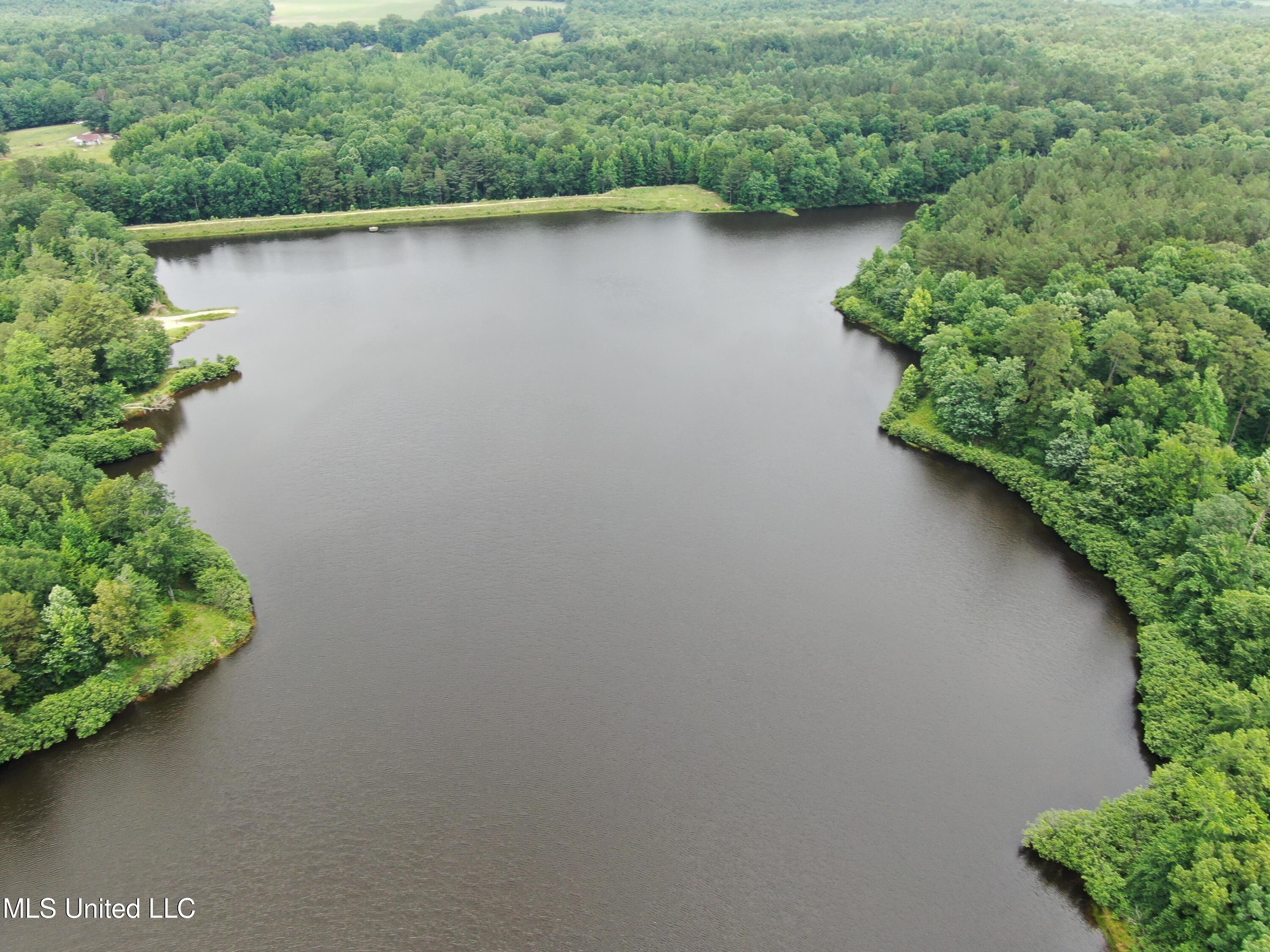 0 Tanner Drive Blue Mountain, MS 38610 - Photo 8 of 34 DJI_0603