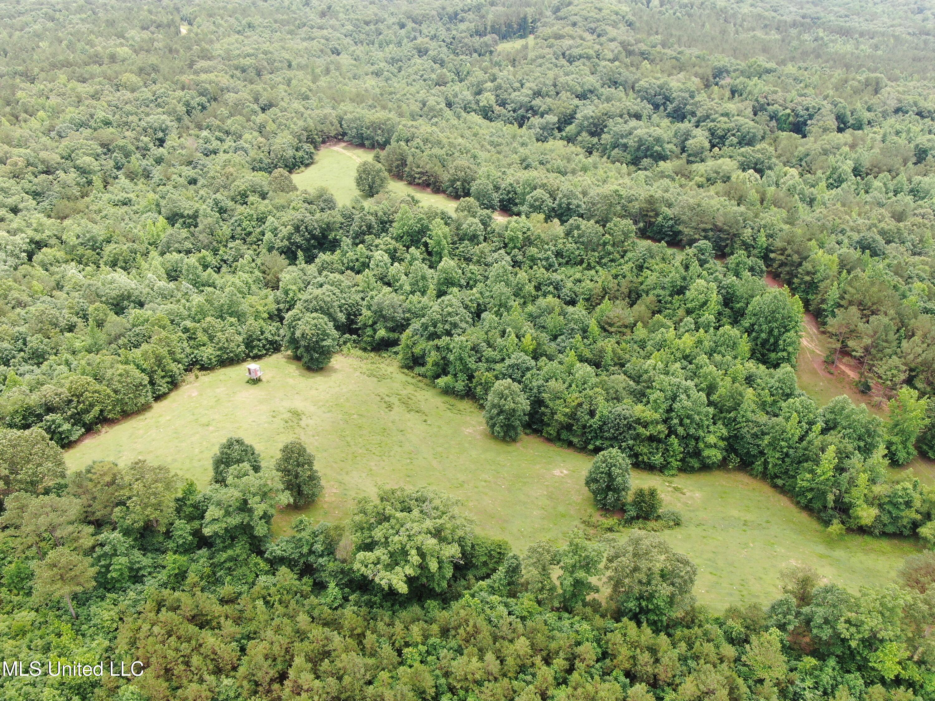 0 Tanner Drive Blue Mountain, MS 38610 - Photo 9 of 34 DJI_0604