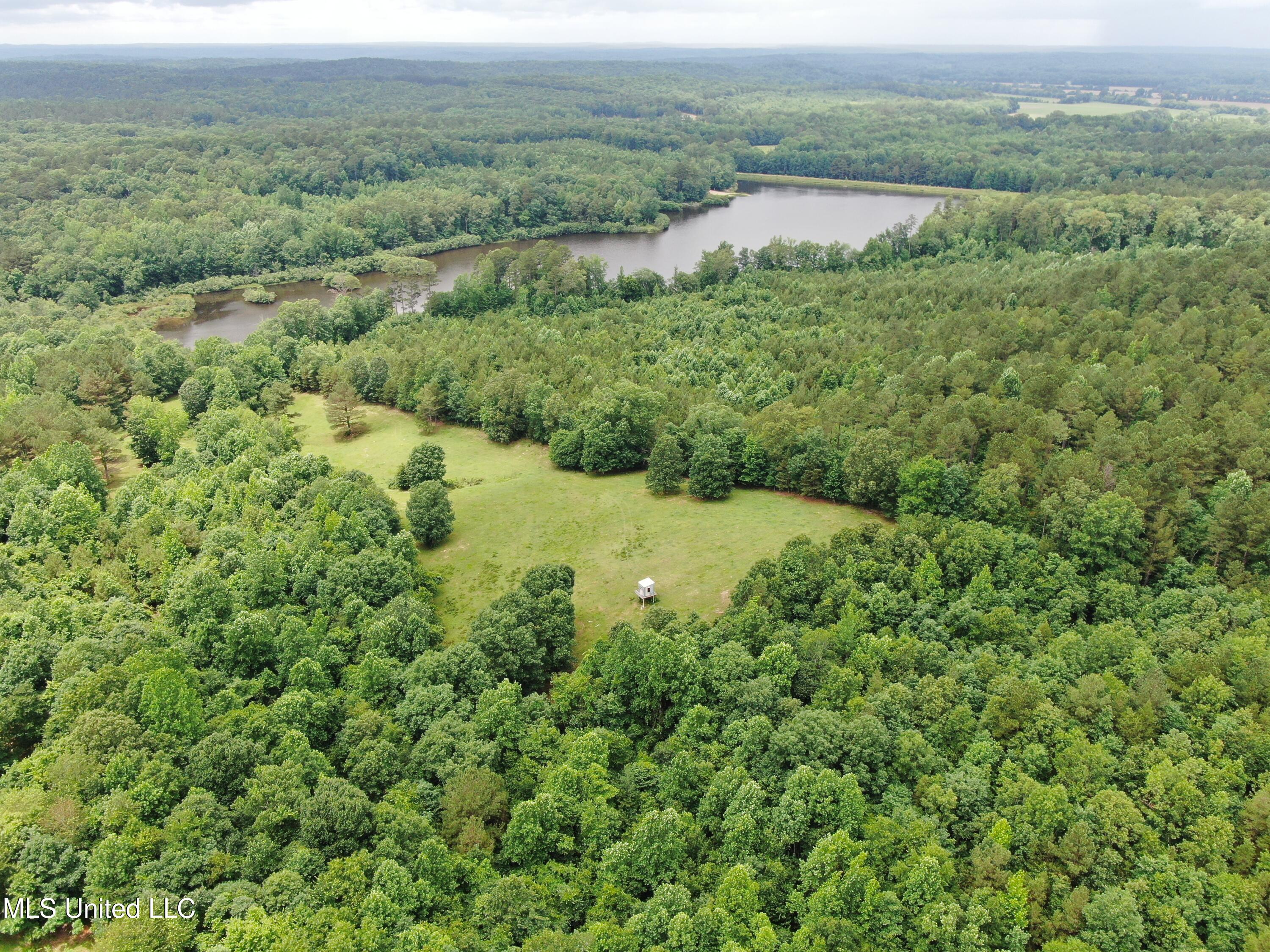 0 Tanner Drive Blue Mountain, MS 38610 - Photo 10 of 34 DJI_0605