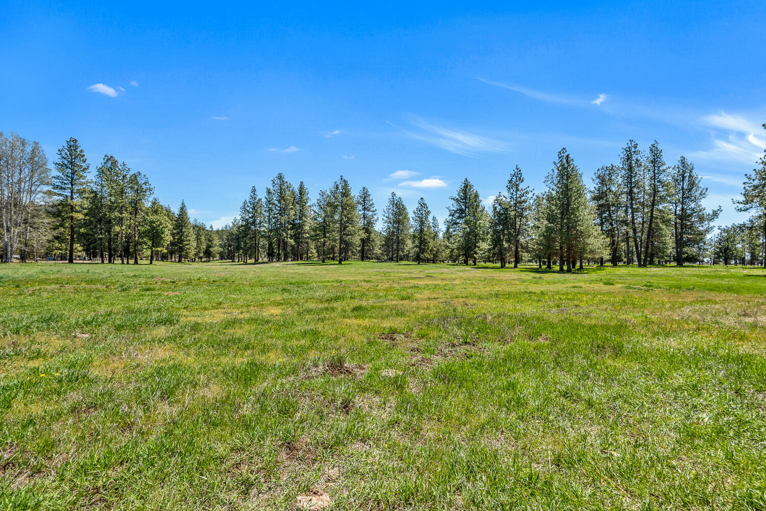 32841 River Bend Road Chiloquin, OR 97624 - Photo 61 of 77 062 Vladic River Ranch