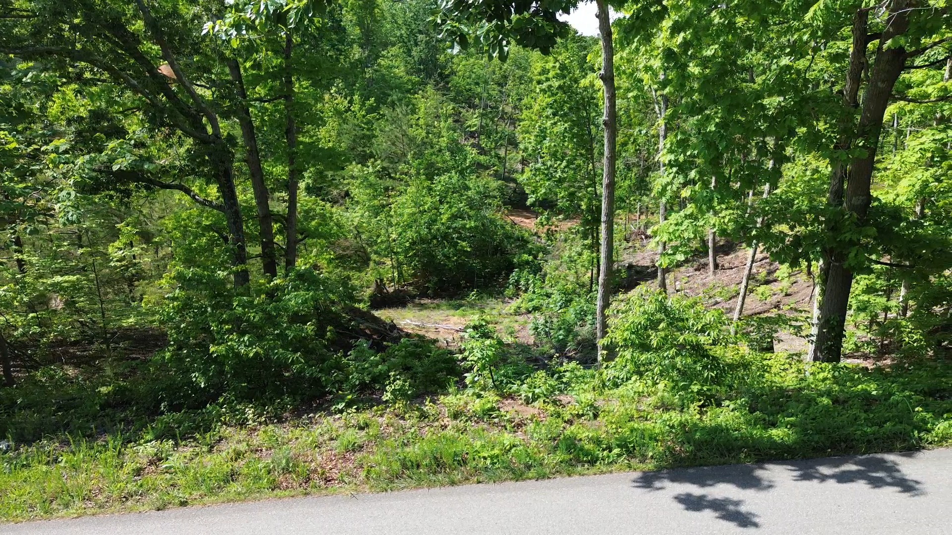 535 Highwater Road Waverly, TN 37185 - Photo 4 of 13 a view of a garden with plants and large trees