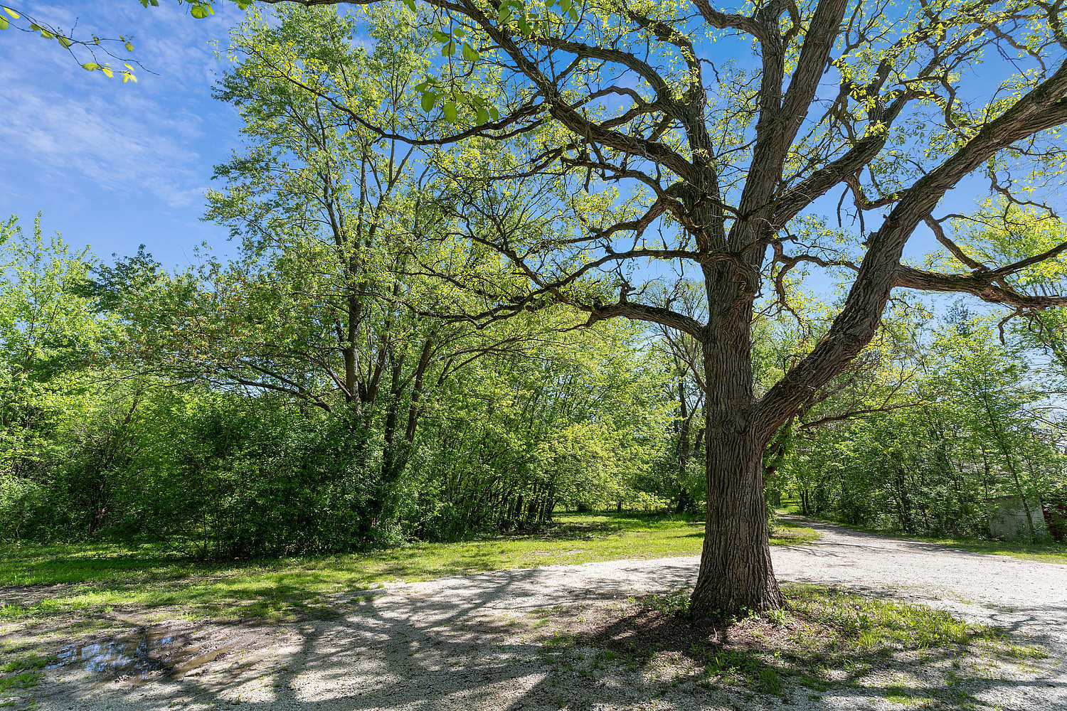 22930 Miller Road Steger, IL 60475 - Photo 3 of 24 Gallery Image 3