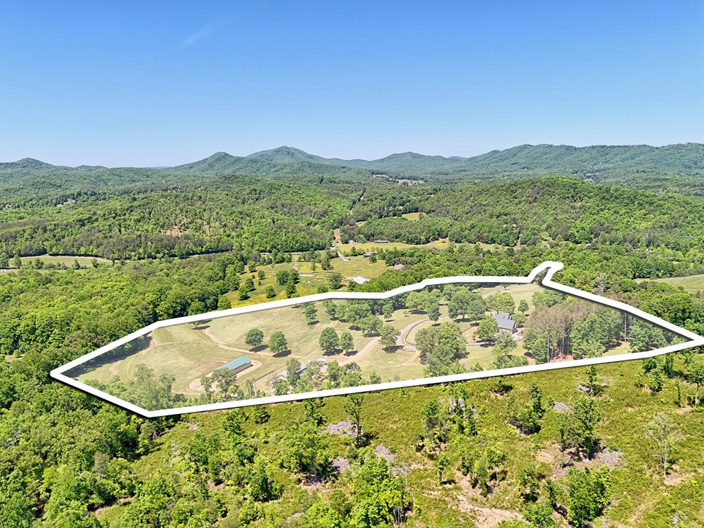 1193 Pine Log Road Warne, NC 28909 - Photo 2 of 75
