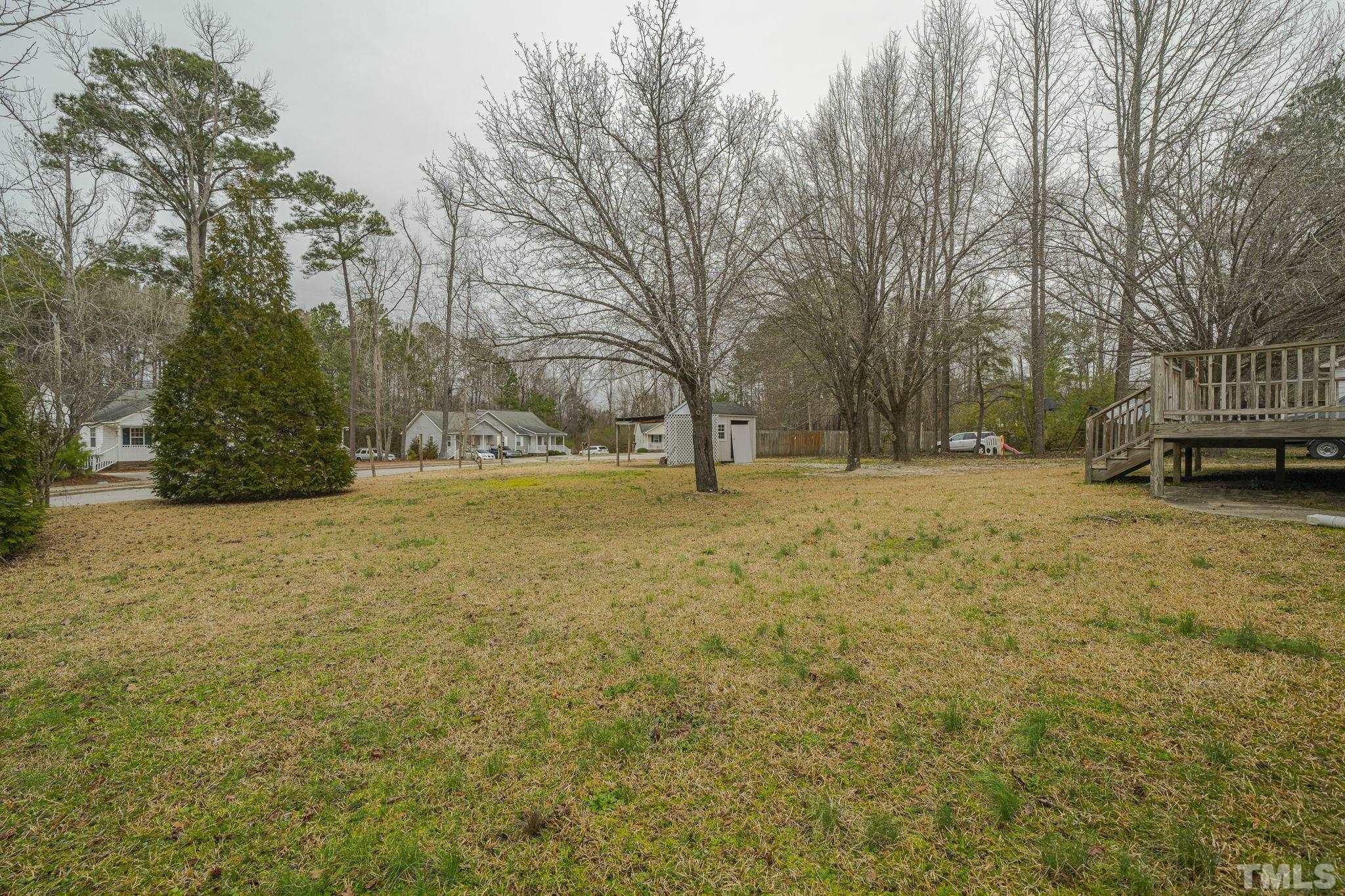 105 Pineview Drive Zebulon, NC 27597 - Photo 28 of 29 a view of open space with trees