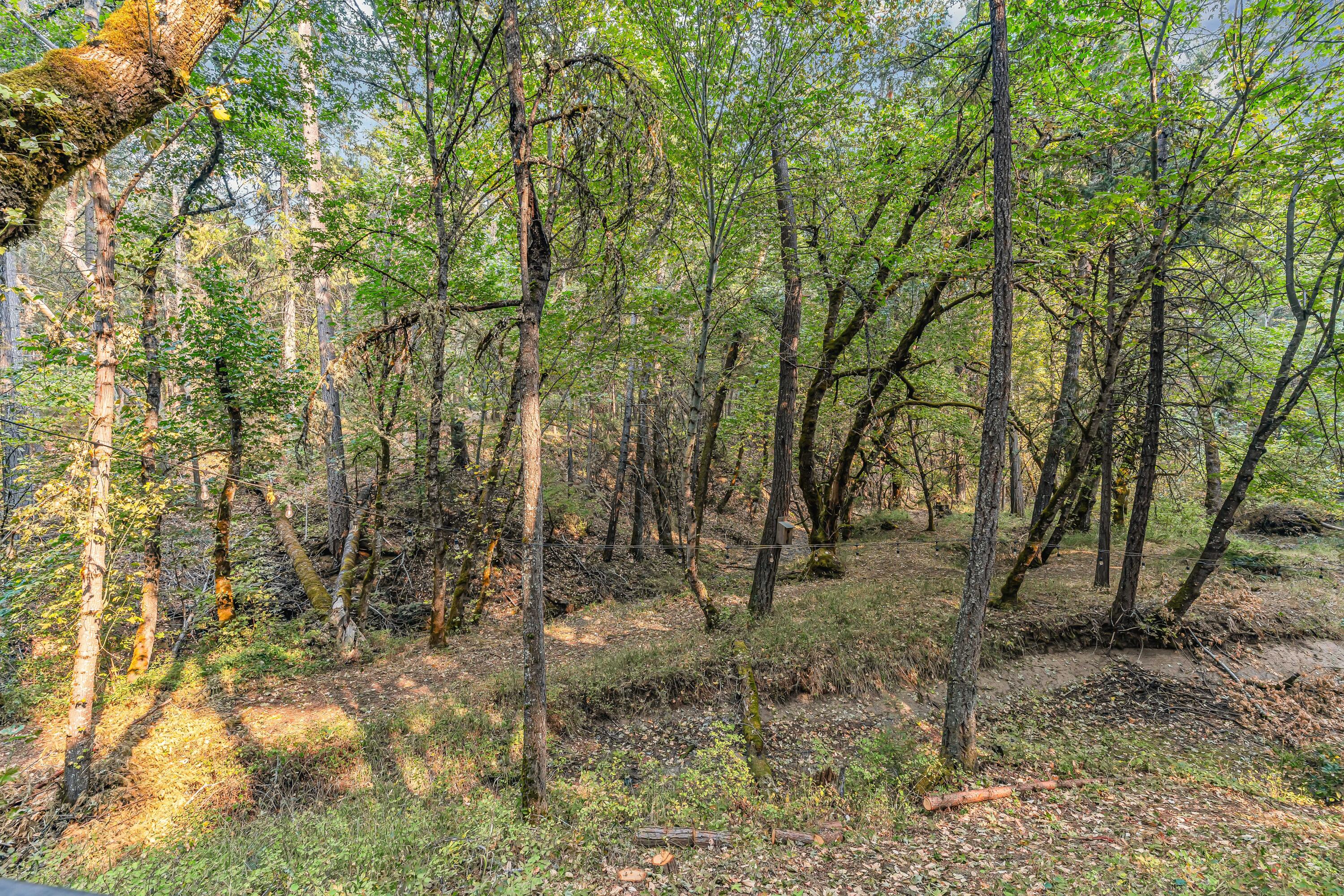 3435 Wards Creek Road Rogue River, OR 97537 - Photo 42 of 61 43