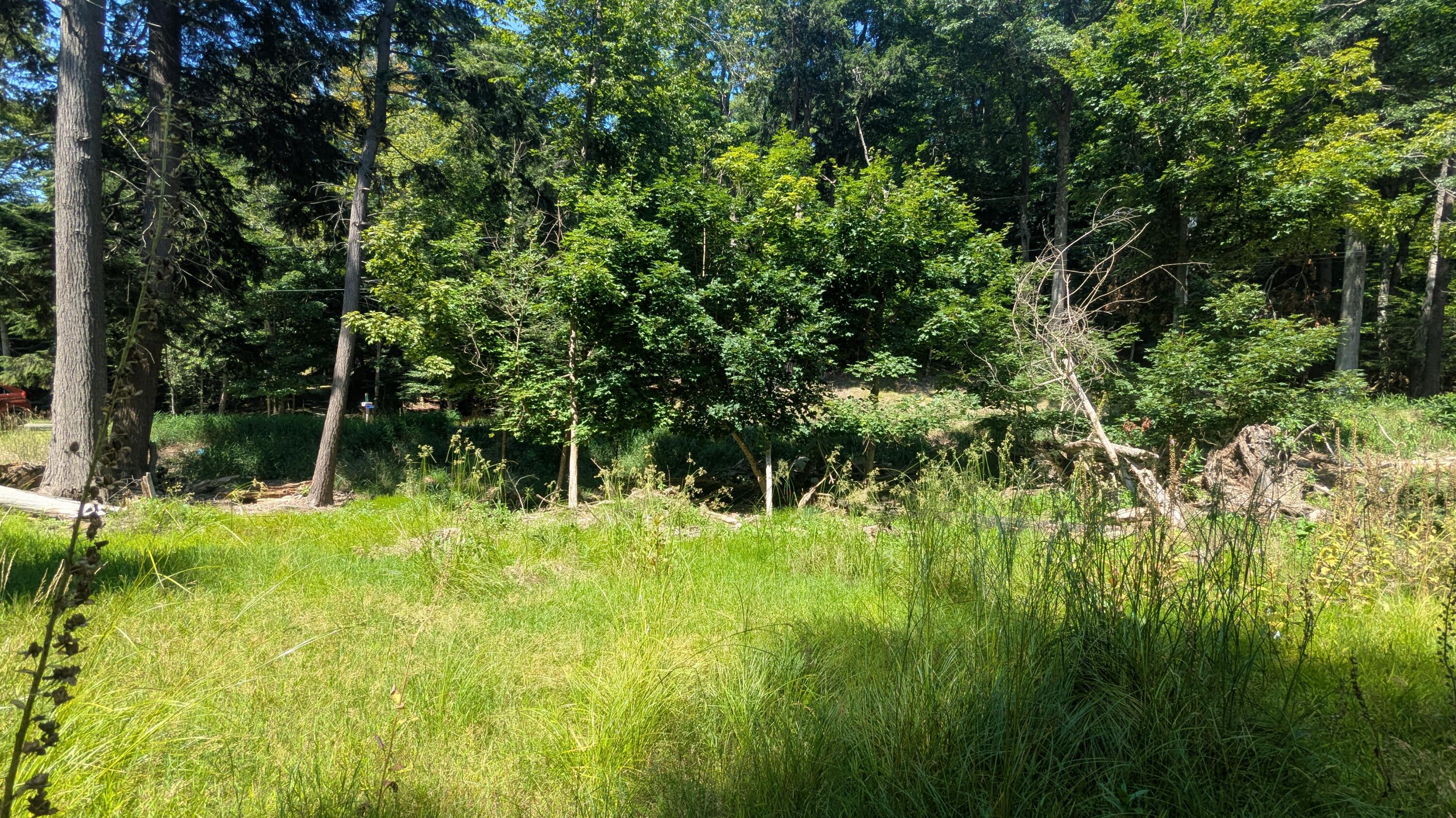 0 Lakeshore Road Manistee, MI 49660 - Photo 11 of 26 Build your home here!