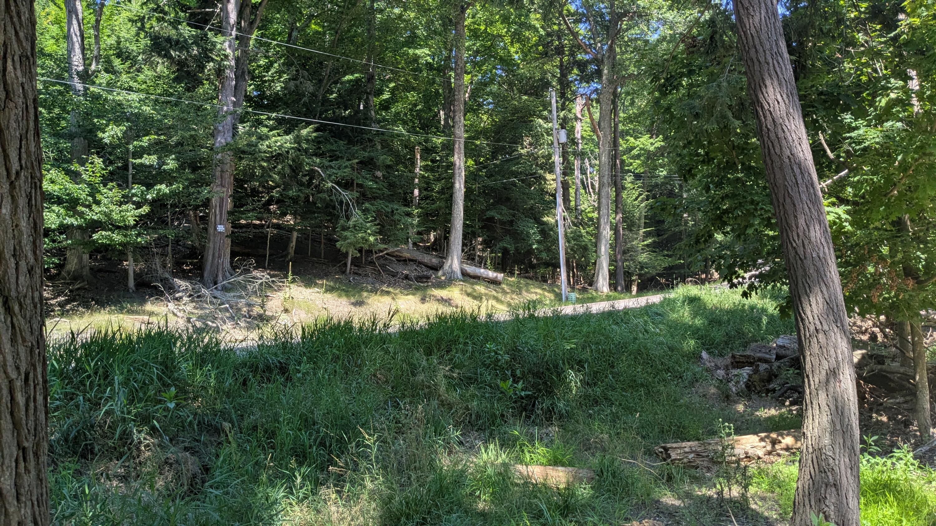0 Lakeshore Road Manistee, MI 49660 - Photo 14 of 26 Serene Woods