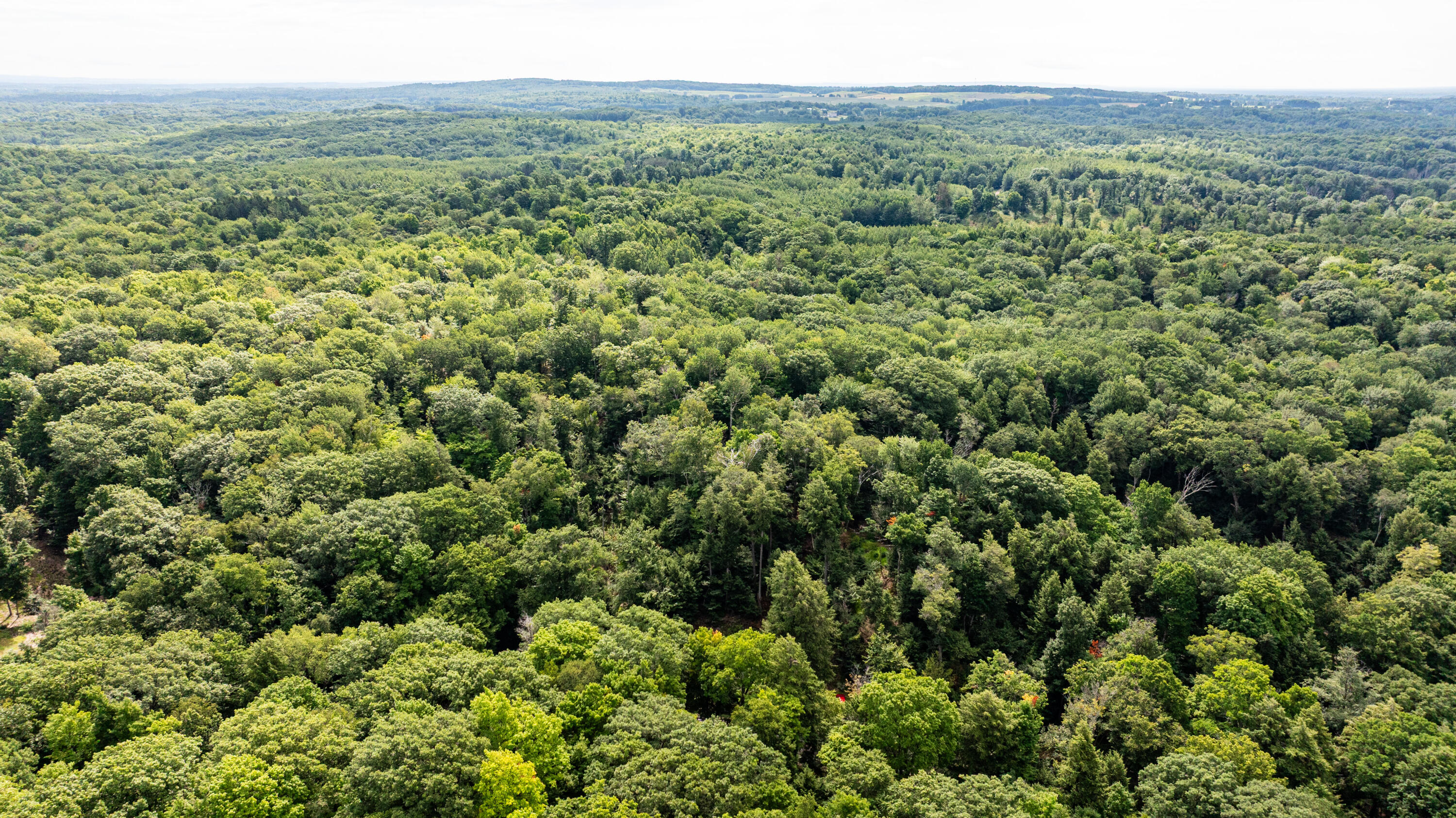 0 Lakeshore Road Manistee, MI 49660 - Photo 24 of 26 Beautiful Woods