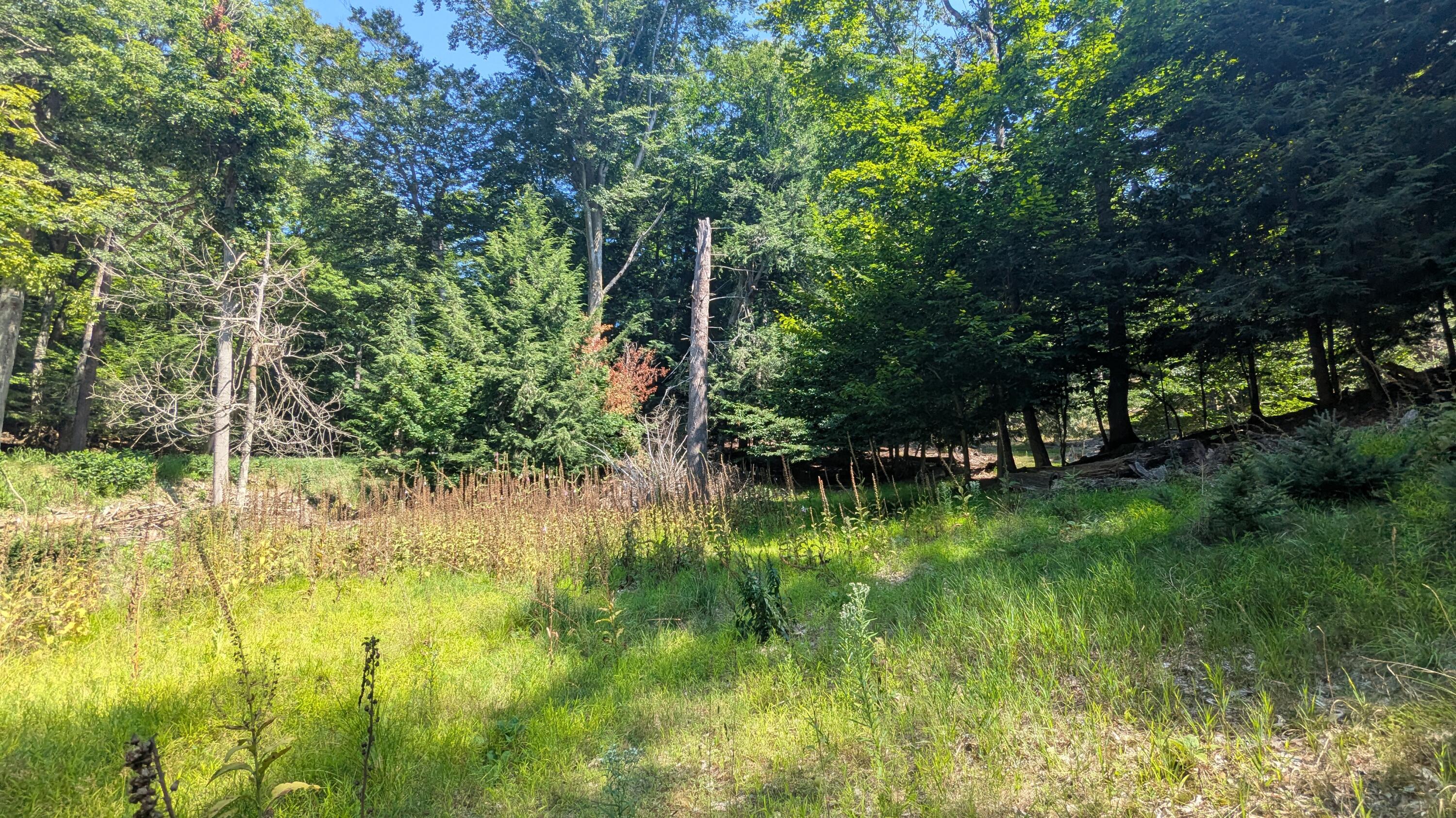 0 Lakeshore Road Manistee, MI 49660 - Photo 3 of 26 Rolling Terrain