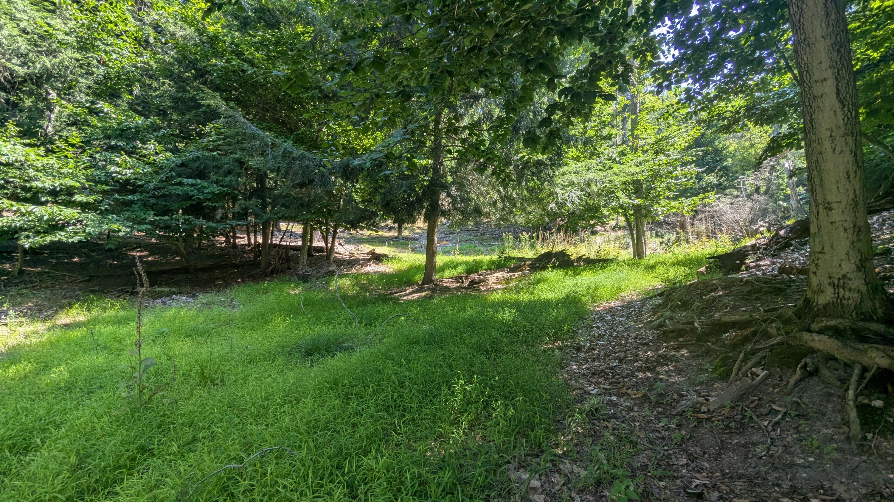 0 Lakeshore Road Manistee, MI 49660 - Photo 10 of 26 Enjoy privacy!
