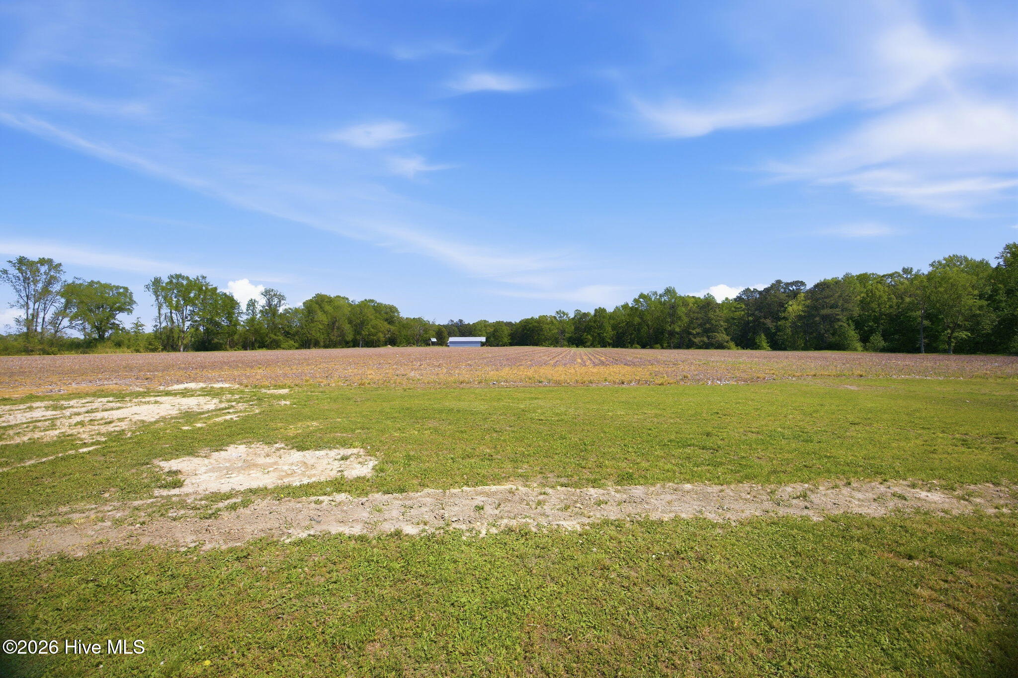 124 Republican Road Windsor, NC 27983 - Photo 47 of 47 peaceful, farm land surrounding