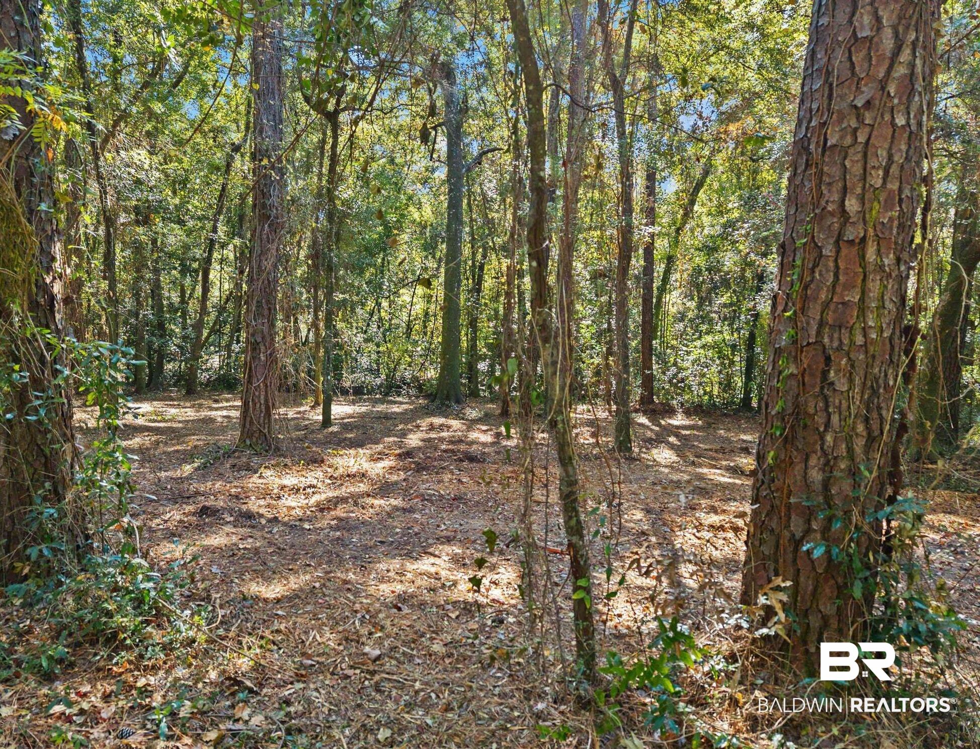0 Wharf Street Daphne, AL 36526 - Photo 2 of 21