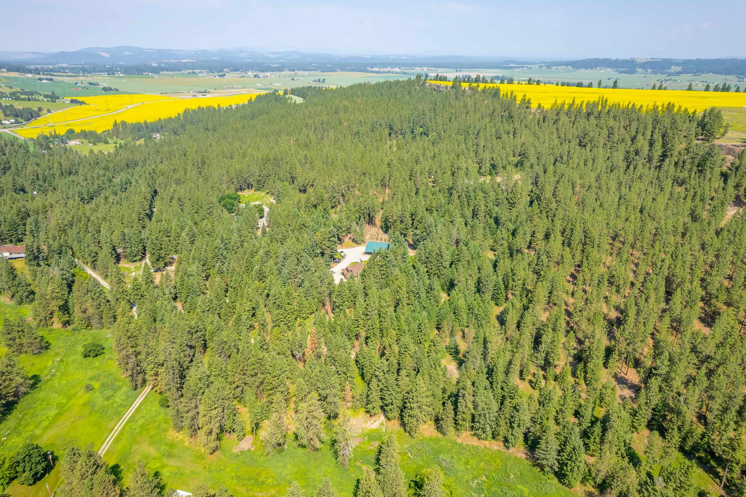9303 East Lindgren Road Spokane, WA 99217 - Photo 49 of 49