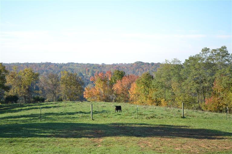 1960 Barnes Road Williamstown, KY 41097 - Photo 27 of 28