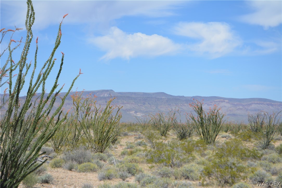 F12 South Red Lake Road Yucca, AZ 86438 - Photo 34 of 34