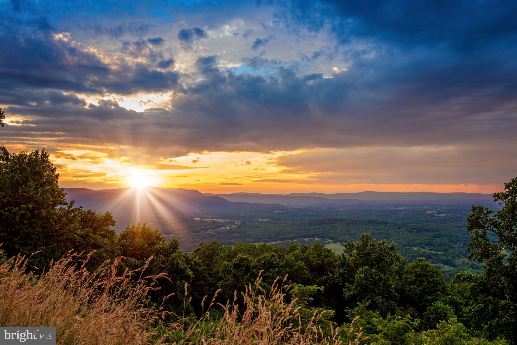 62 Tadpole Landing Road Inwood, WV 25428 - Photo 18 of 18