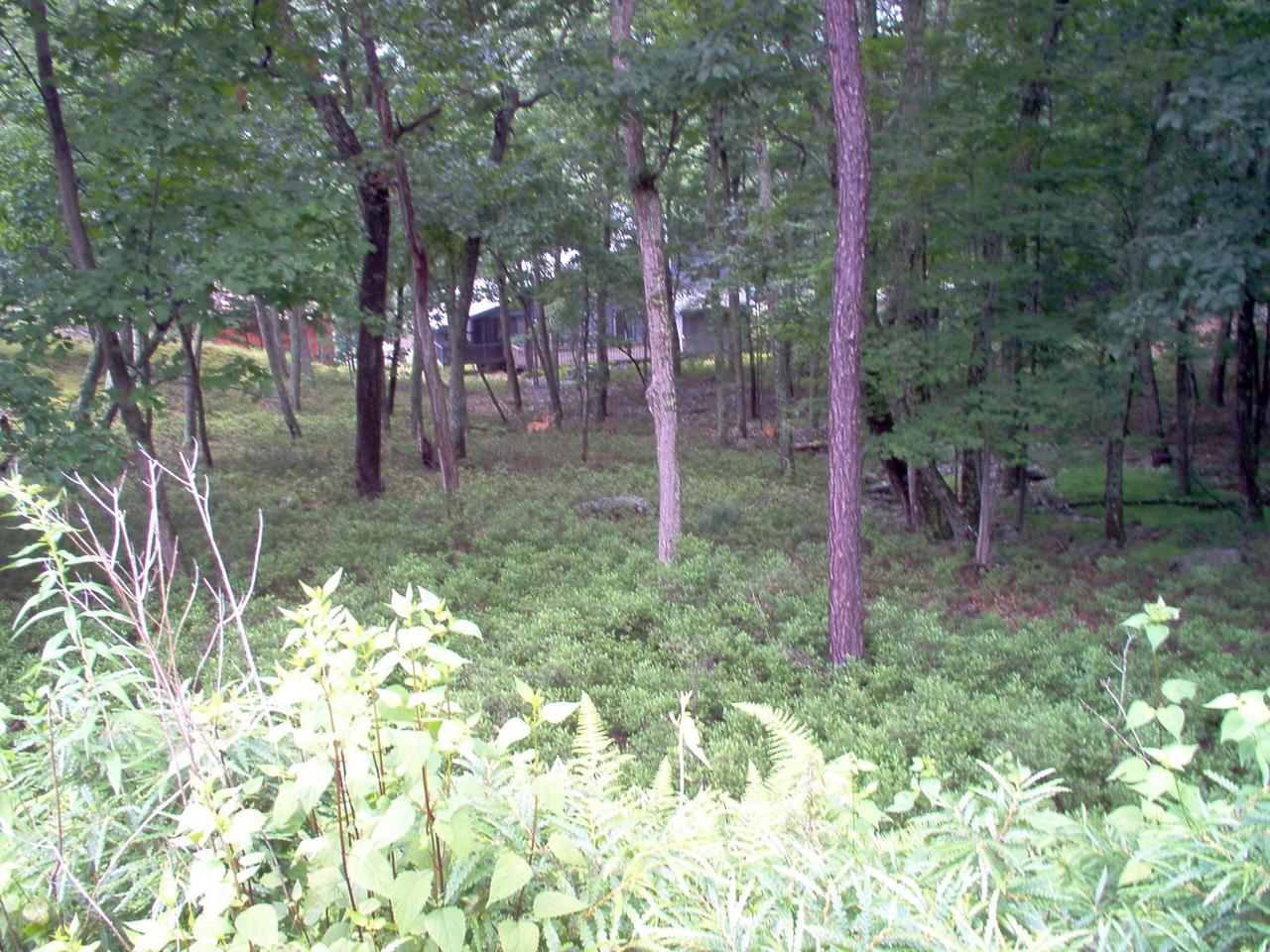 1685 Exeter Court Bushkill, PA 18324 - Photo 1 of 1 Vacant Lot