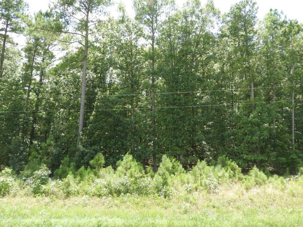 668 Berry Road, Unit 13 Brodnax, VA 23920 - Photo 15 of 15 Gallery Image 15
