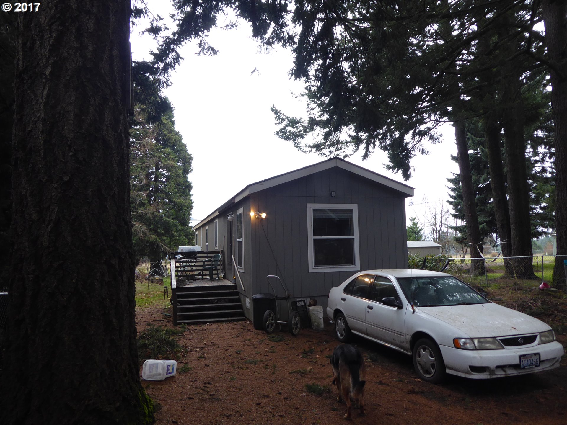 252 Frederickson Street Carson, WA 98610 - Photo 1 of 6 Gallery Image 1