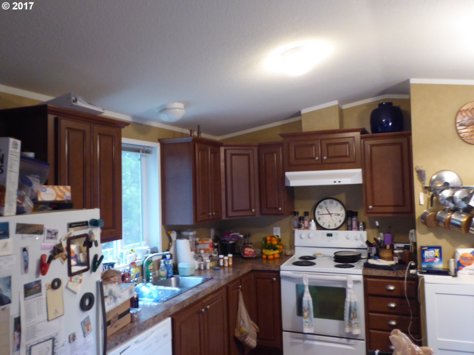 252 Frederickson Street Carson, WA 98610 - Photo 5 of 6 Gallery Image 5