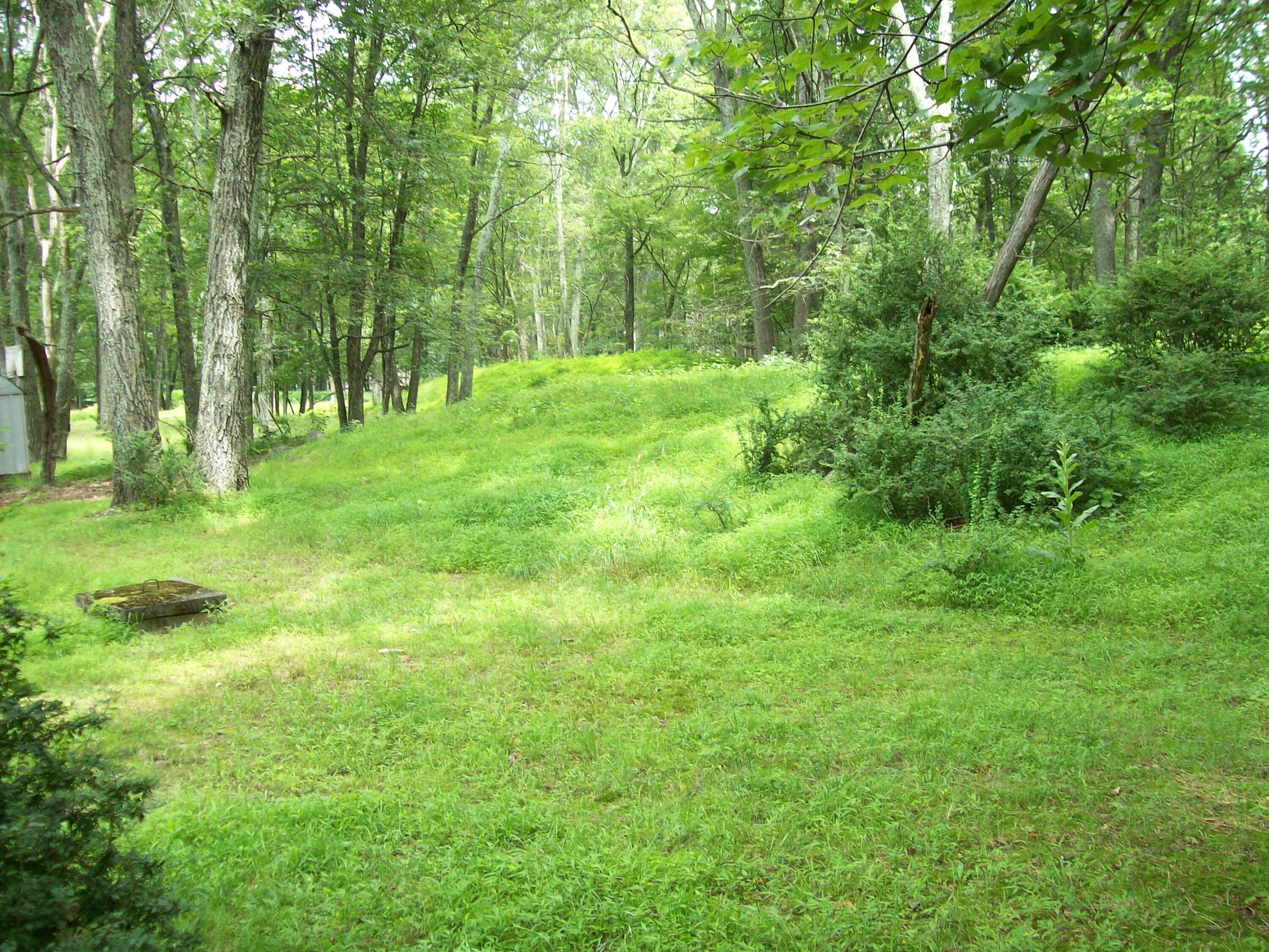 139 Davis Circle Bushkill, PA 18324 - Photo 6 of 23 back yard