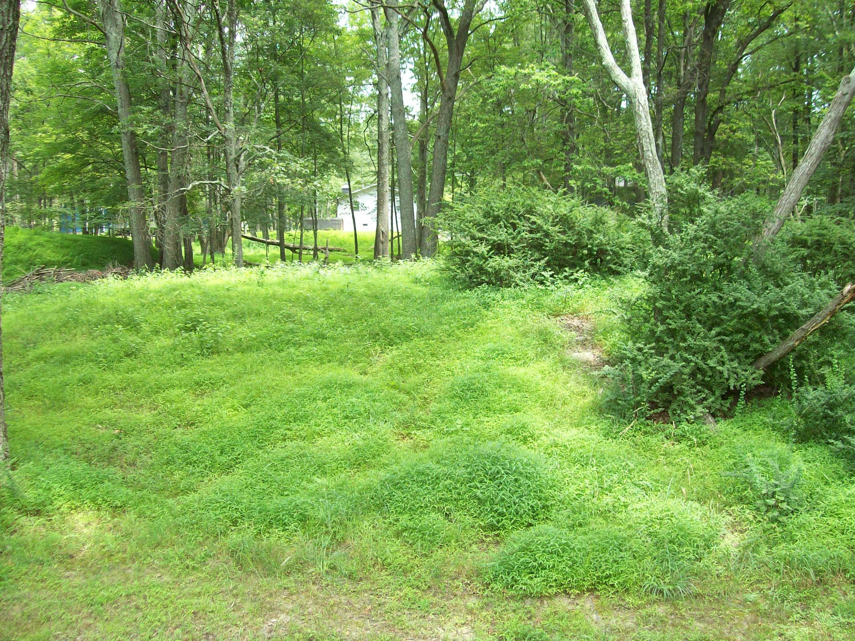 139 Davis Circle Bushkill, PA 18324 - Photo 7 of 23 back yard