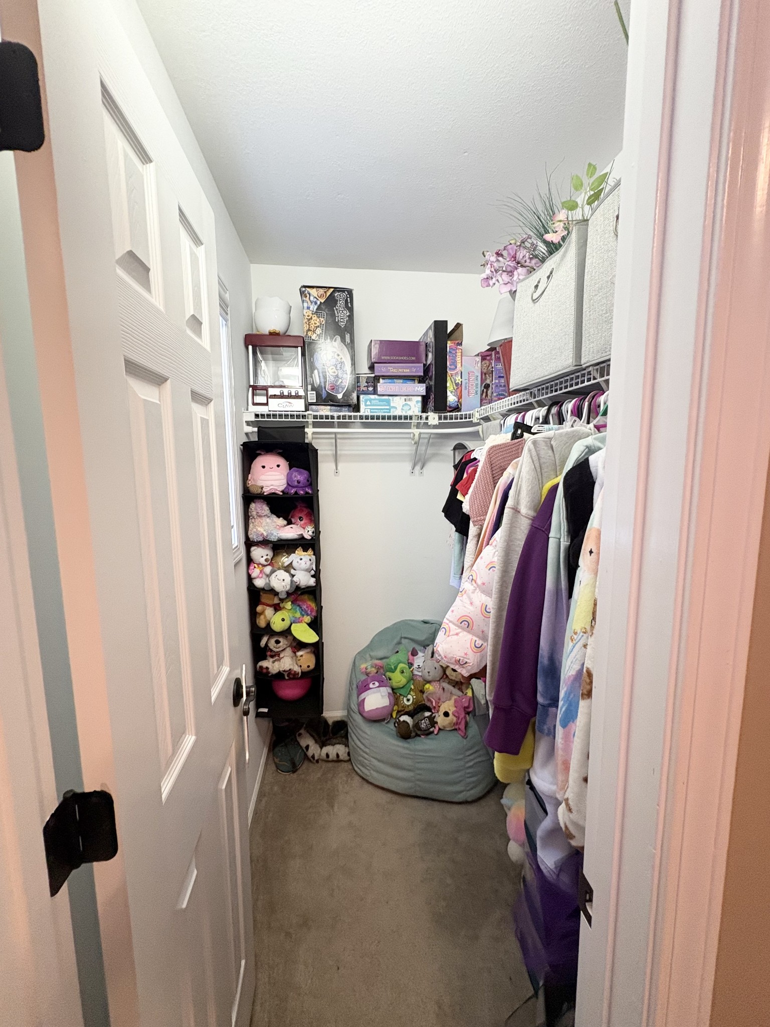 3851 Springdale Road Cunningham, TN 37052 - Photo 15 of 33 a view of walk in closet with clothes and shoes