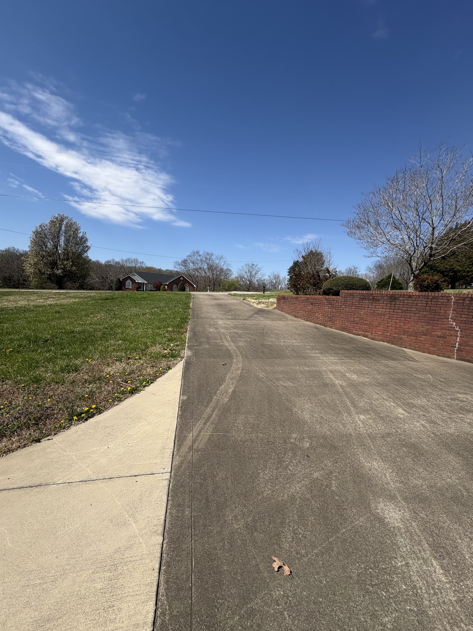 3851 Springdale Road Cunningham, TN 37052 - Photo 31 of 33 a view of a pathway both side of building and yard