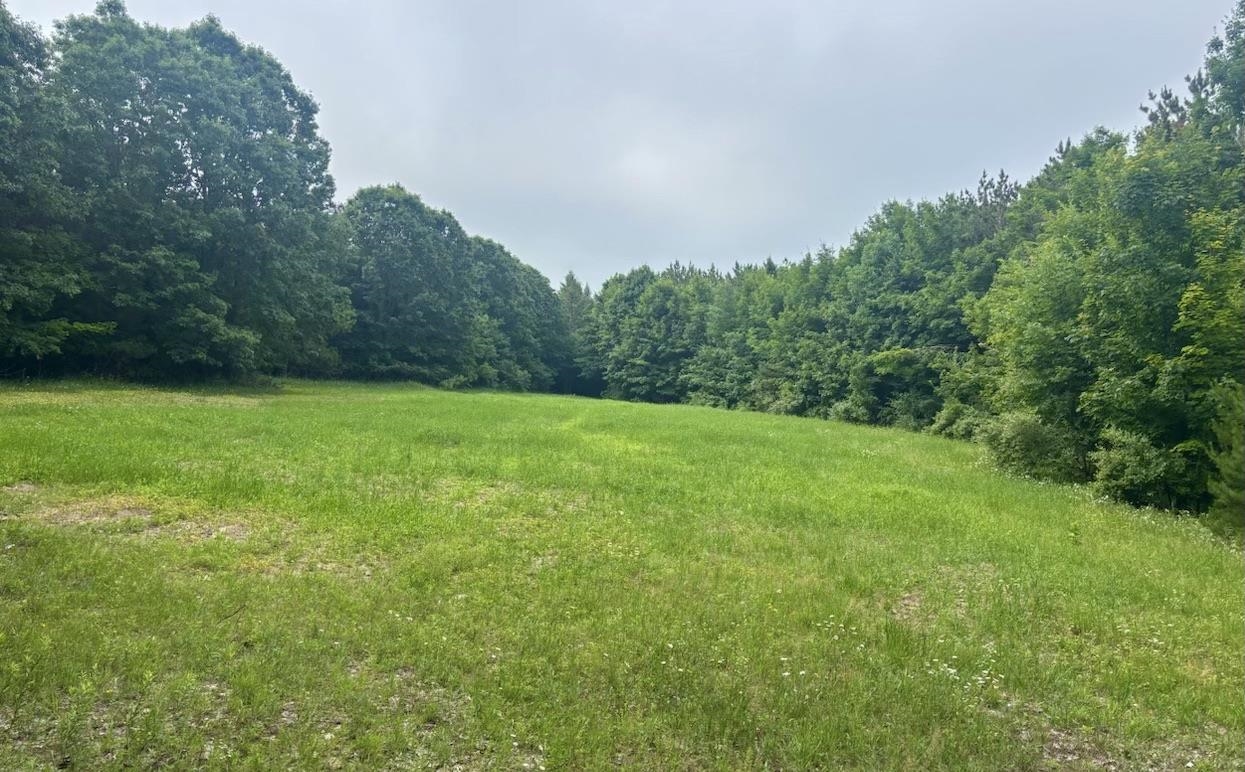0 South Schomberg Road Cedar, MI 49621 - Photo 28 of 70