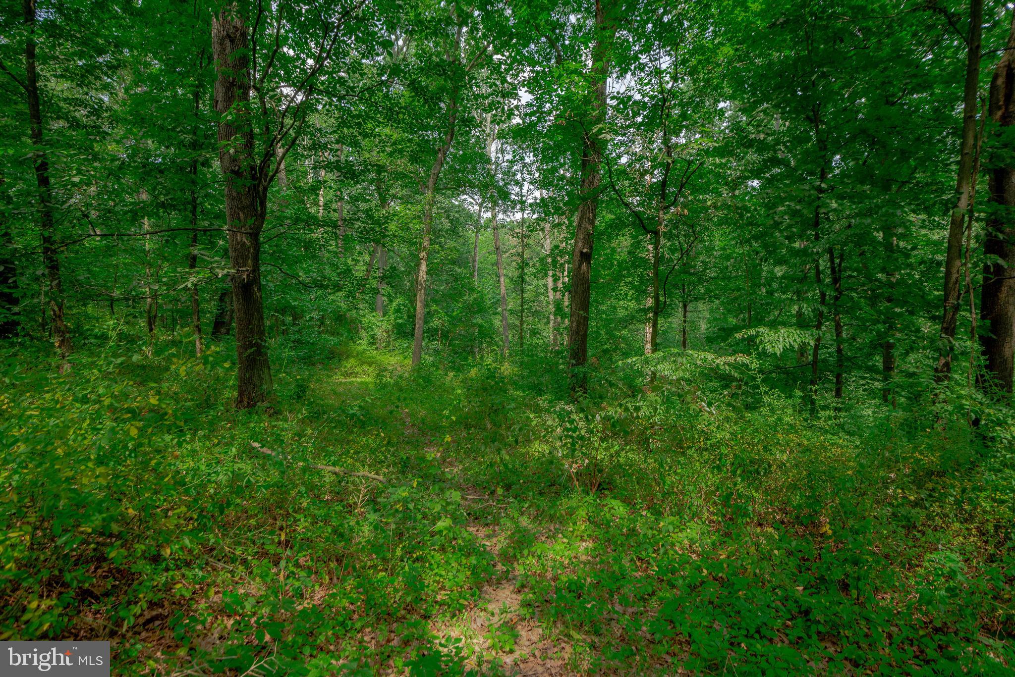 4814 Millers Station Road Hampstead, MD 21074 - Photo 59 of 72 The land extends over the river and thru the woods