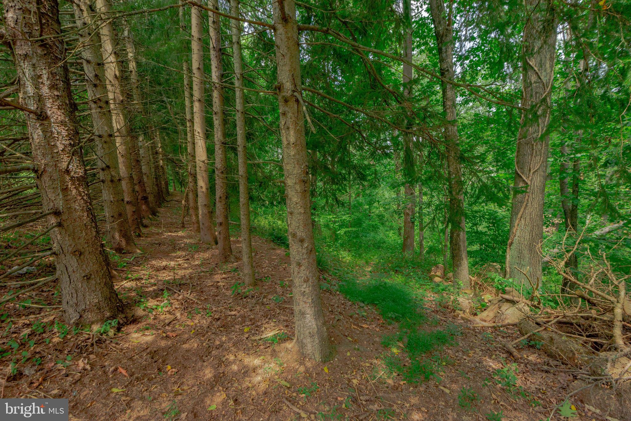 4814 Millers Station Road Hampstead, MD 21074 - Photo 60 of 72 The land extends over the river and thru the woods