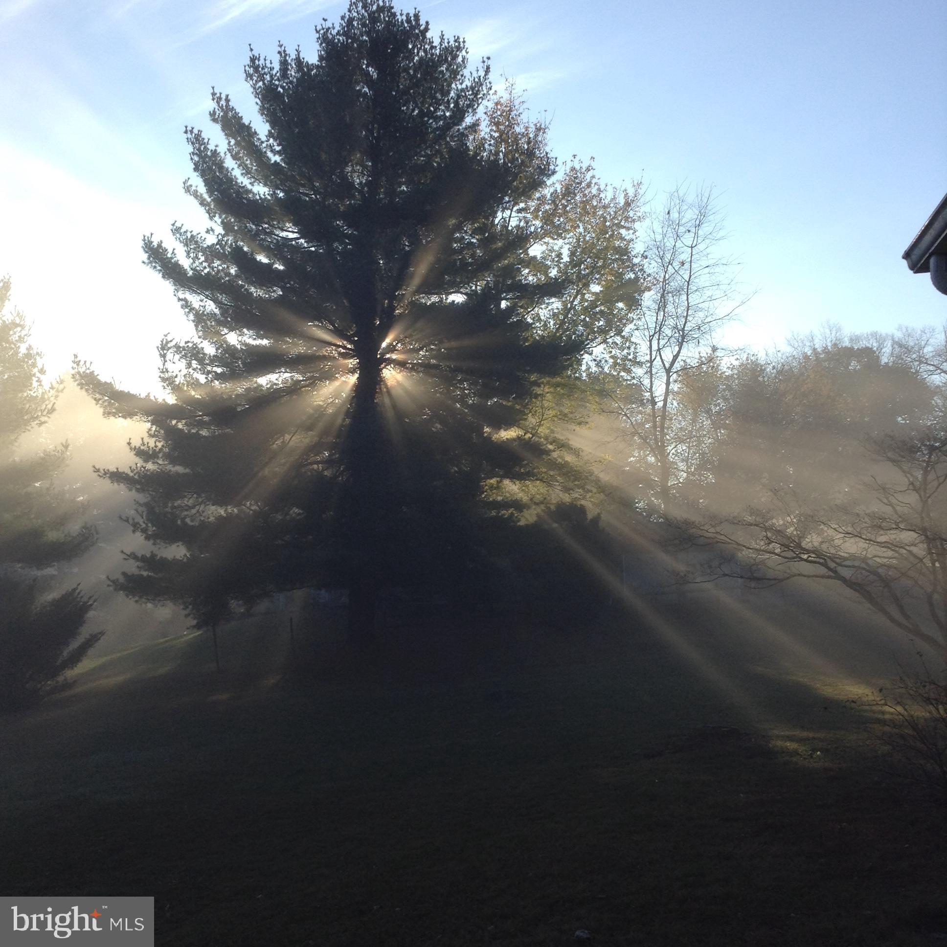 4814 Millers Station Road Hampstead, MD 21074 - Photo 71 of 72 Gorgeous sunrise through the trees!