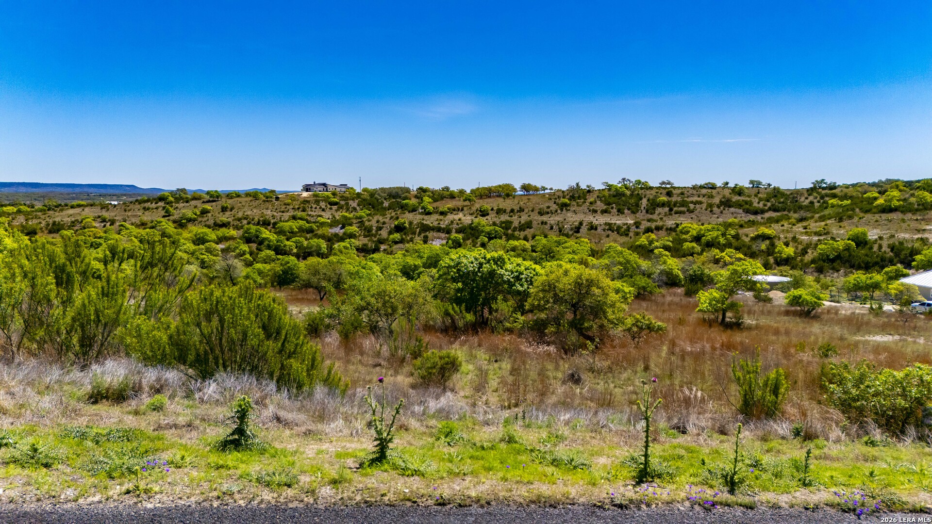 97 Coleman Springs Boerne, TX 78006 - Photo 19 of 86 a view of a yard