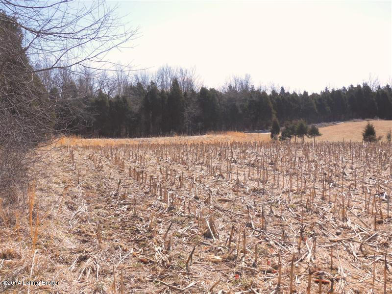 754 Harris School Road Rineyville, KY 40162 - Photo 6 of 8 z6 (Medium)