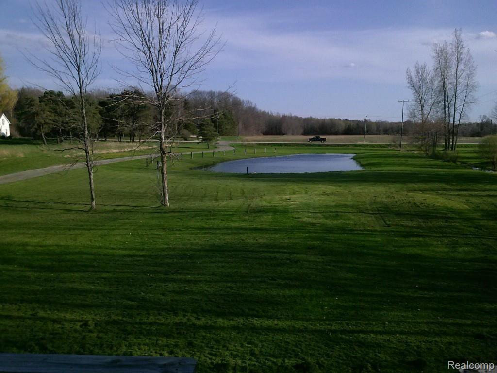 7826 Avoca Road Avoca, MI 48006 - Photo 3 of 23 front pond.jpg