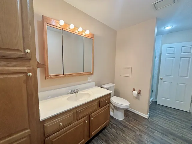 a bathroom with a sink a toilet a large mirror and vanity