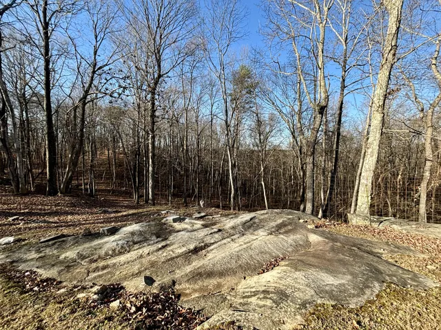 a wooden fence with some trees