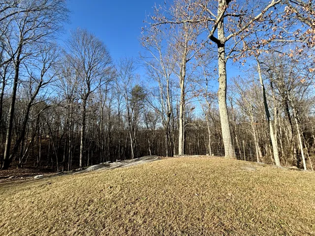 a view of a yard covered with snow in front of house