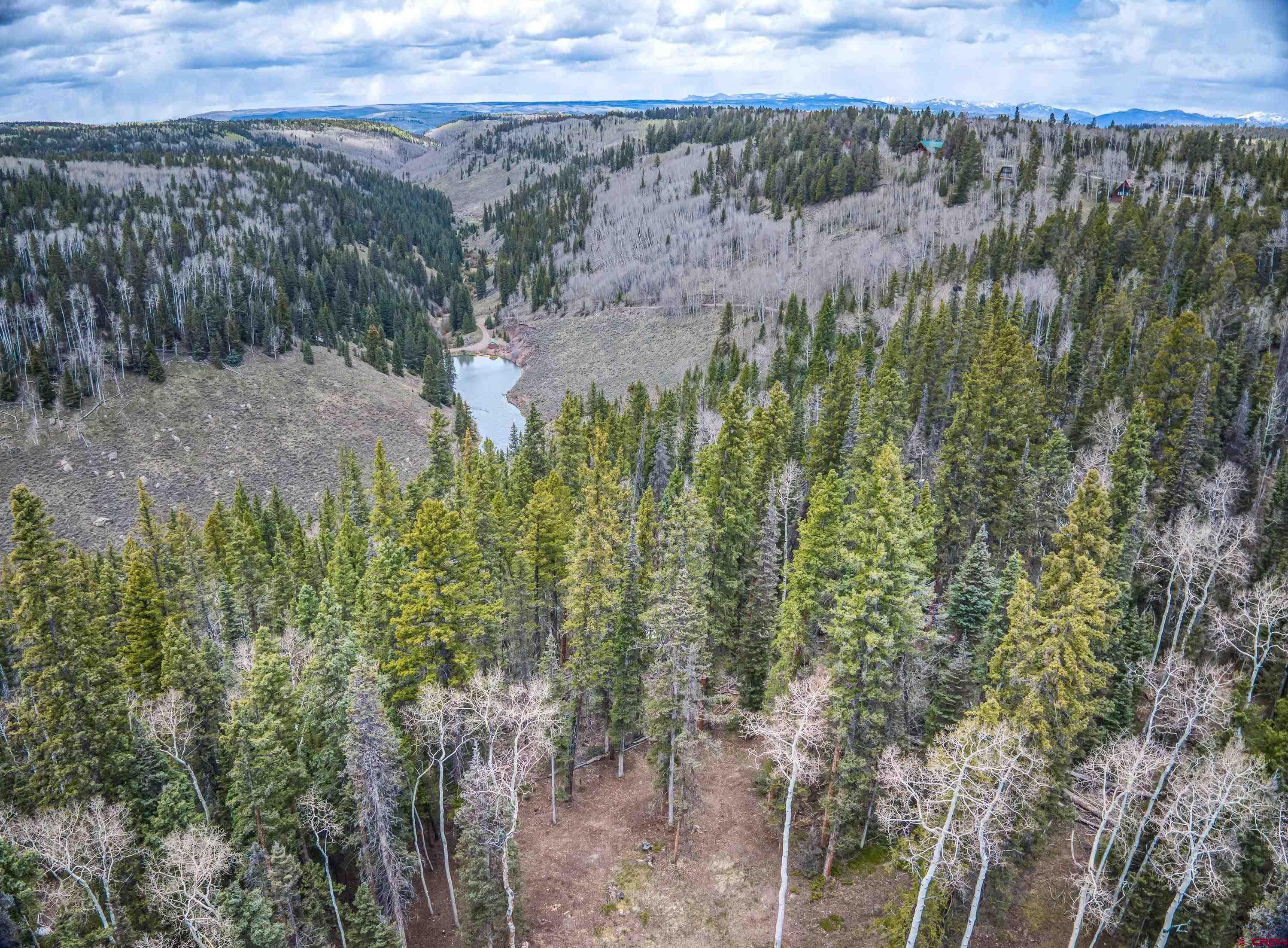 303 Spruce Road Cimarron, CO 81220 - Photo 32 of 35 a view of a forest with a forest