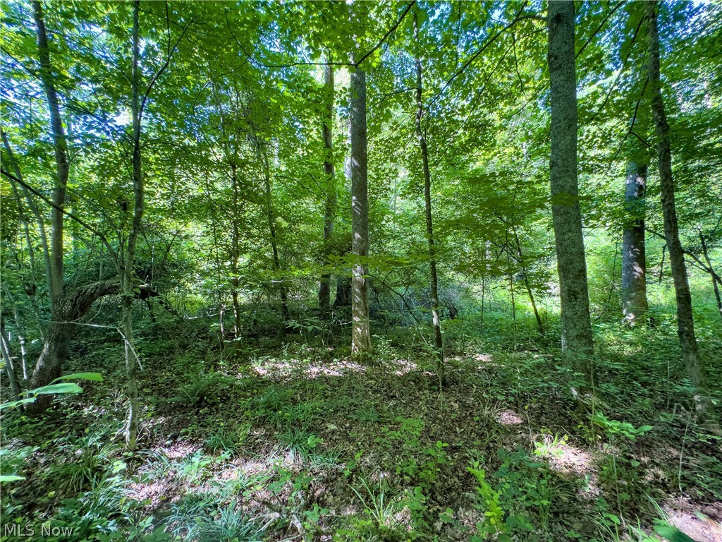 2 Jake Road Patriot, OH 45658 - Photo 13 of 20