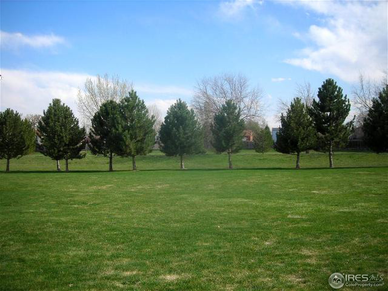 1213 West Swallow Road, Unit 222 Fort Collins, CO 80526 - Photo 17 of 18 Gallery Image 17