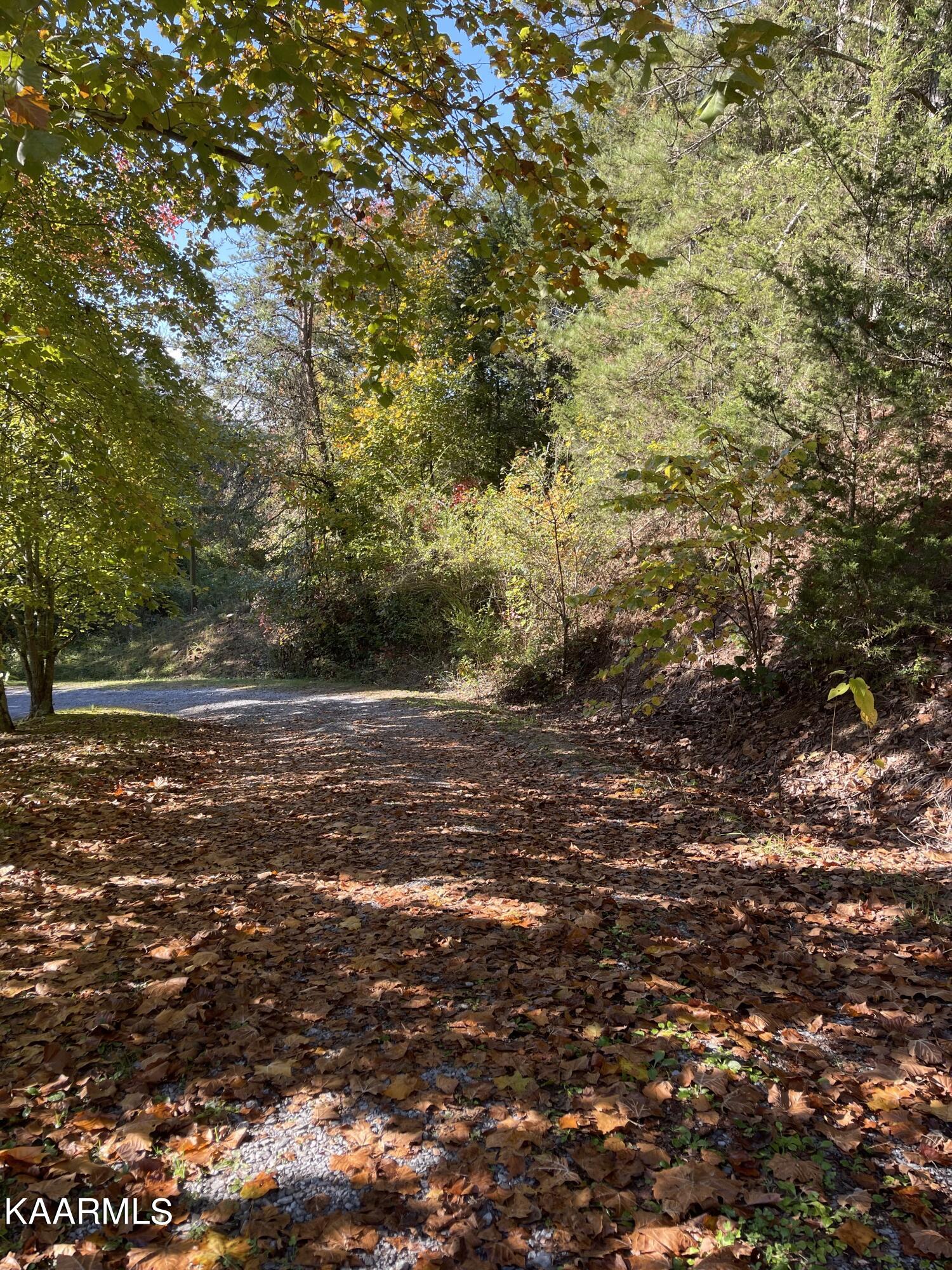 1301 Witt Hollow Road Sevierville, TN 37862 - Photo 36 of 39 Gravel Driveway IMG_1766